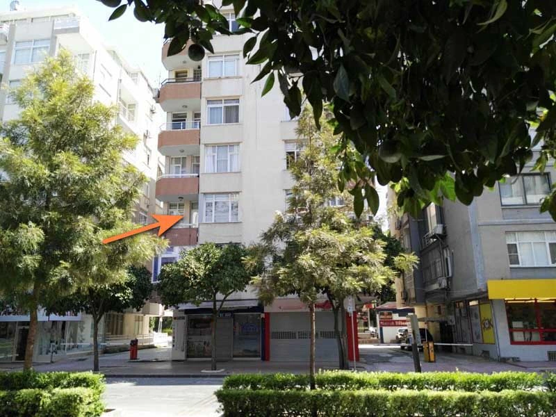 Halitorium dış mekan görünüm